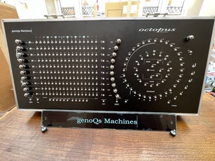 various-Genoqs Octopus Shell